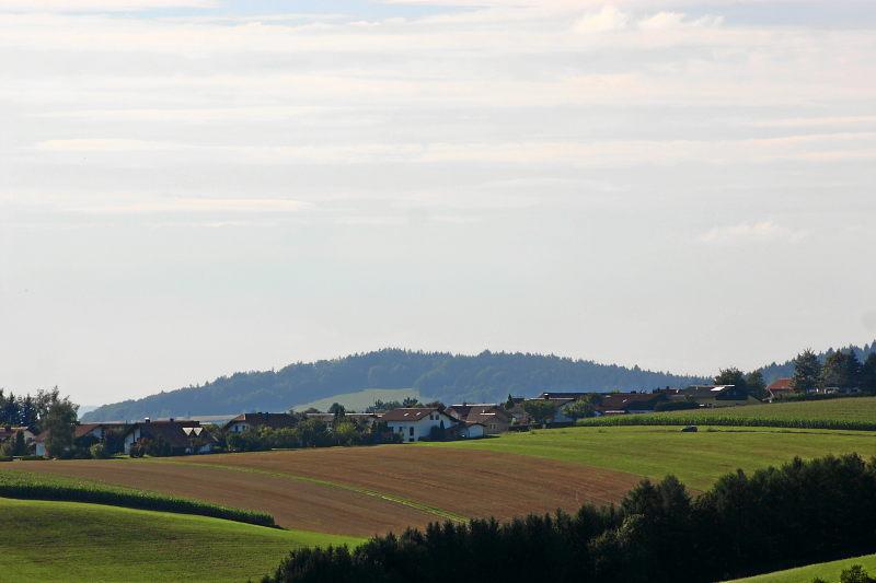 sommer_bayerischer_wald.JPG - Sommer Bayerischer Wald